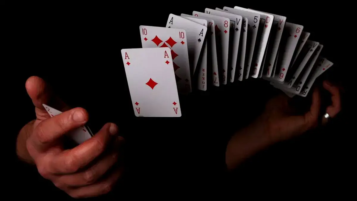 Who is a Card Dealer and What is His Job Role